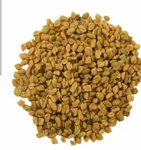 Yellow Fenugreek Seeds Healthy Food & Beverage for Adults and Children Bulk Packaging with Bitter Taste