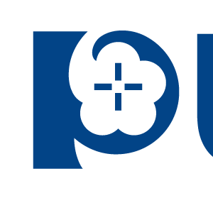 Company icon