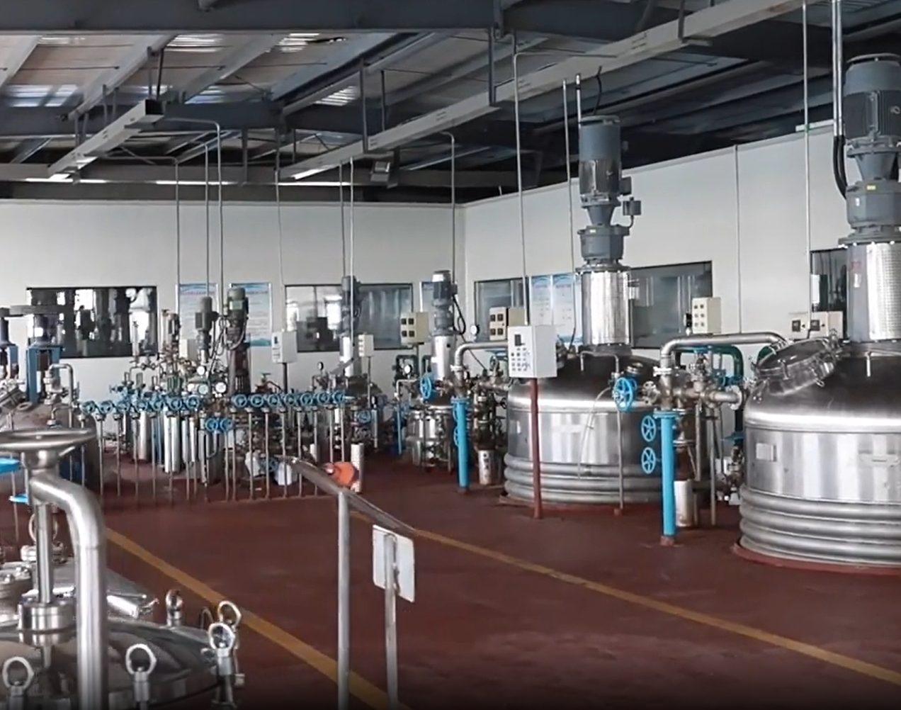 Yantai Yida Biotechnology Co., Ltd. Probiotics
