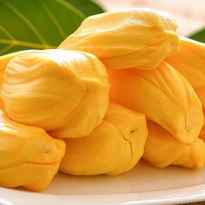High Quality Frozen Jackfruit IQF Process Water Preservation-Bulk Packaged Great Value Hot Deal!