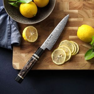 HEZHEN New Design Kitchen Utility Knives Japanese ZDP189 Damascus Powder Steel Petty Knife with Resin Handle