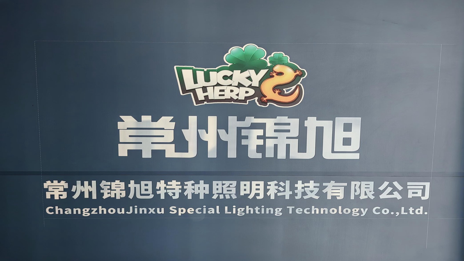 Changzhou Jinxu Special Lighting Technology Co., Ltd. UVB Mercury Vapor Bulbs