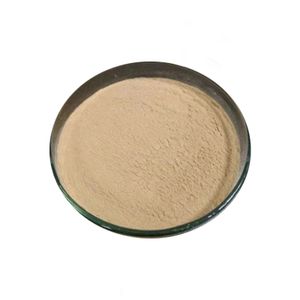 OEM Feed Supplement Organic Additives Freeze-dried Probiotics Powder Bacillus Coagulans