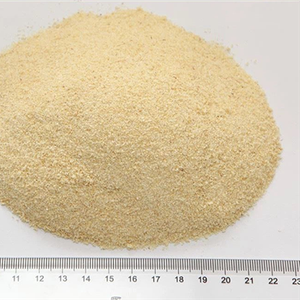Garlic Granules 40-80 Mesh