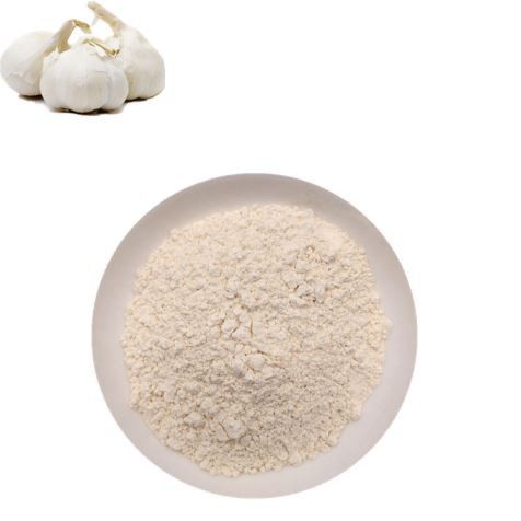 First Grade Dried Garlic Powder