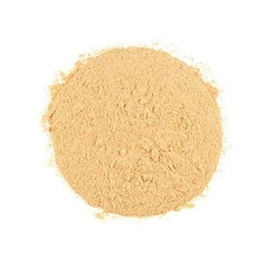 Bulk Roasted Garlic Powder
