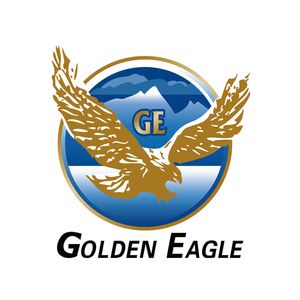 Company icon