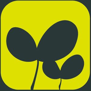Company icon
