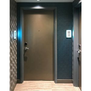 45 Minutes Painted Grade Entry Door for Hospital Apartment Fire Prevention and Sound Insulation Swing Door