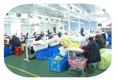 Dongguan City Jiaheng Toys Co., Ltd. Inflatable Toy Balls