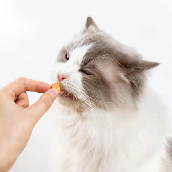 OEM ODM Wholesale Organic Pet Snacks Freeze-dried Pet Food Granules Dog and Cat Molar Bulk Freeze Dried Salmon Dice Pet Treats