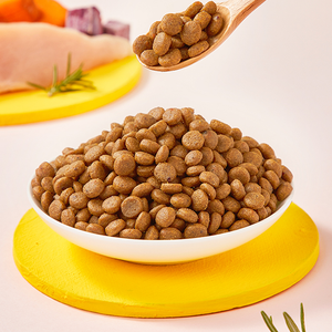 High Protein Dry Cat Food Nutritious Balanced for All Ages Free Sample OEM ODM Pet Food