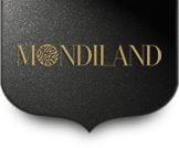 Company icon