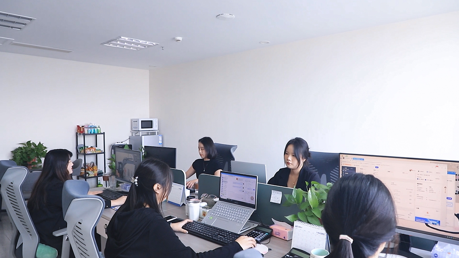 Jining ToHo Machinery Co., Ltd. Mini Excavator