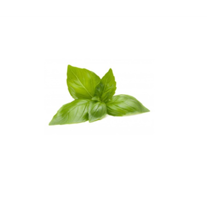N. F. Devulcanized Products Group factory image 3