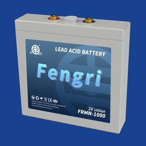 Fengri Affordable 12V 100Ah Environmentally Friendly Lead-acid Battery with Lower Self-discharge Rate for Various Fields