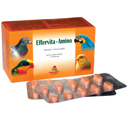 Multivitamin - Mineral - Amino Acid for Pet Health Effervita - Amino