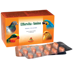 Multivitamin - Mineral - Amino Acid for Pet Health Effervita - Amino