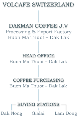 d1n78o6ph6sc738mla1g.png