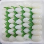 FROZEN CUTTLEFISH SLICE