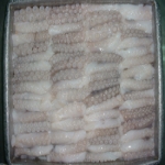 BABY OCTOPUS CUT