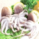 FROZEN WHOLE CLEANED BABY OCTOPUS