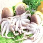 FROZEN WHOLE CLEANED BABY OCTOPUS