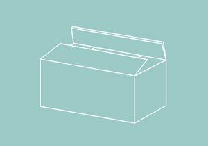 REGULAR SLOTTED CARTON