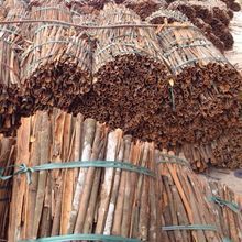 Cassia cinnamon