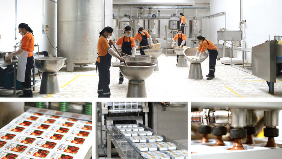 Jams, honey, tahini, halva, hazelnut spreads, peanut butter, molasses, and processed cheeses