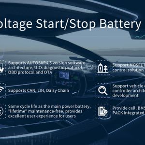 Automotive Batteries