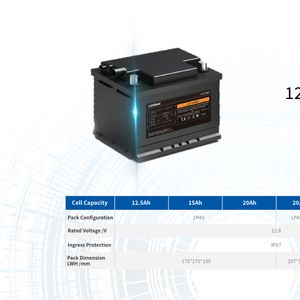 Automotive Batteries