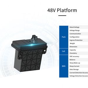 Automotive Batteries