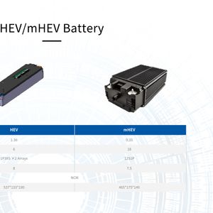 Automotive Batteries