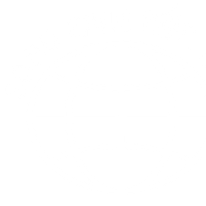 Company icon