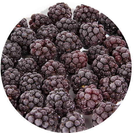 CULTIVATED BLACKBERRIES