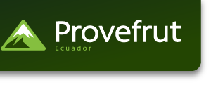 Company icon