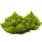 ROMANESCO