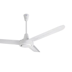 C48M1