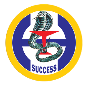 Company icon