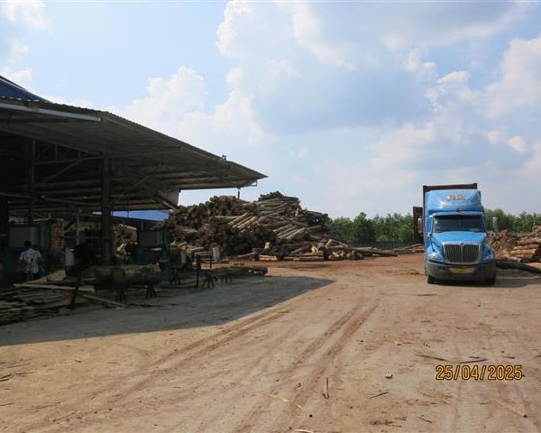 d1nclhb3tuvs73ac66g0.jpg