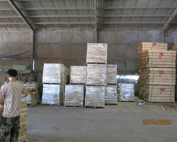 d1nclib3tuvs73ac66jg.jpg