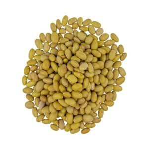 CANARY BEAN