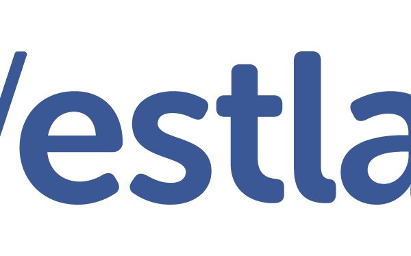Westlake Vinnolit Logo
