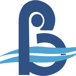 Company icon