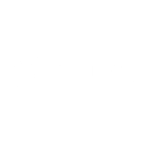 Company icon