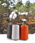 Cotton Yarn