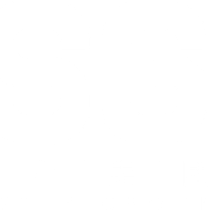 Company icon