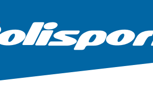 Company icon