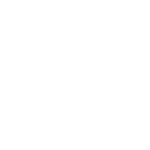 Company icon